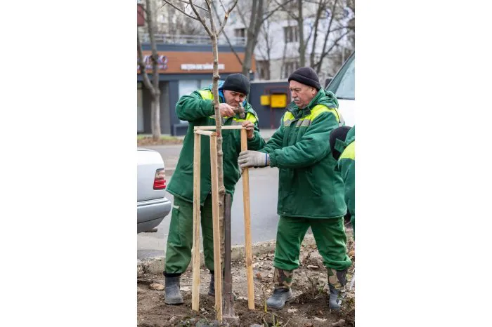 В Кишиневе началась весенняя озеленительная кампания