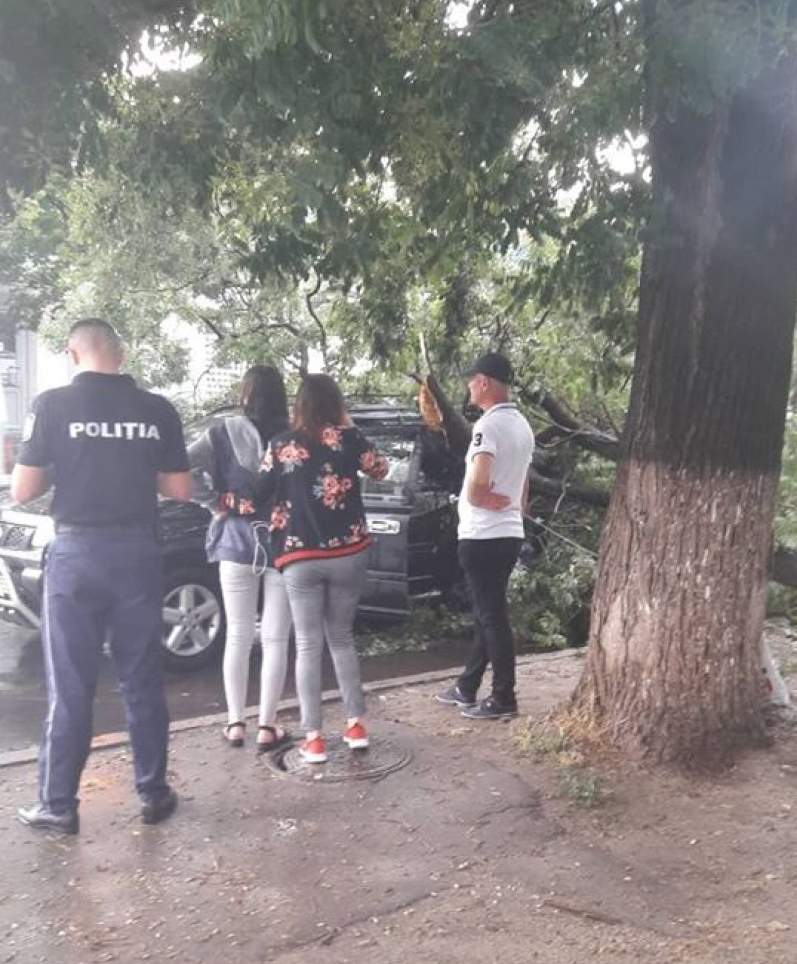 Дерево упало на машину во время ливня в Кишиневе