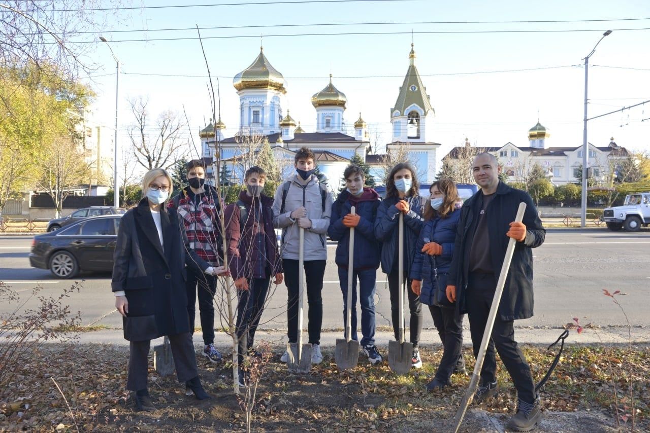 Восстановлена березовая аллея на улице Чуфля