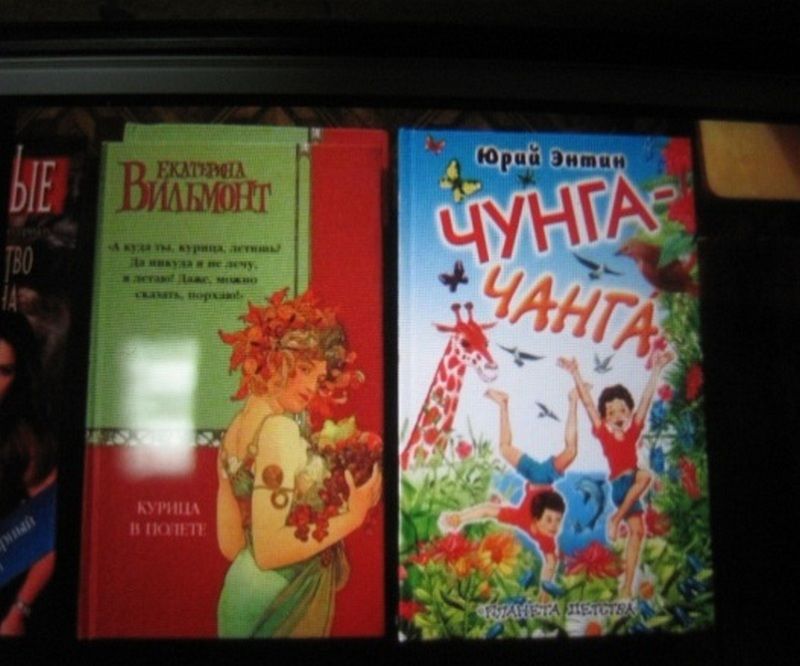 «Чунга-Чанга»: Молдаванин пытался провезти через Украину русские книги