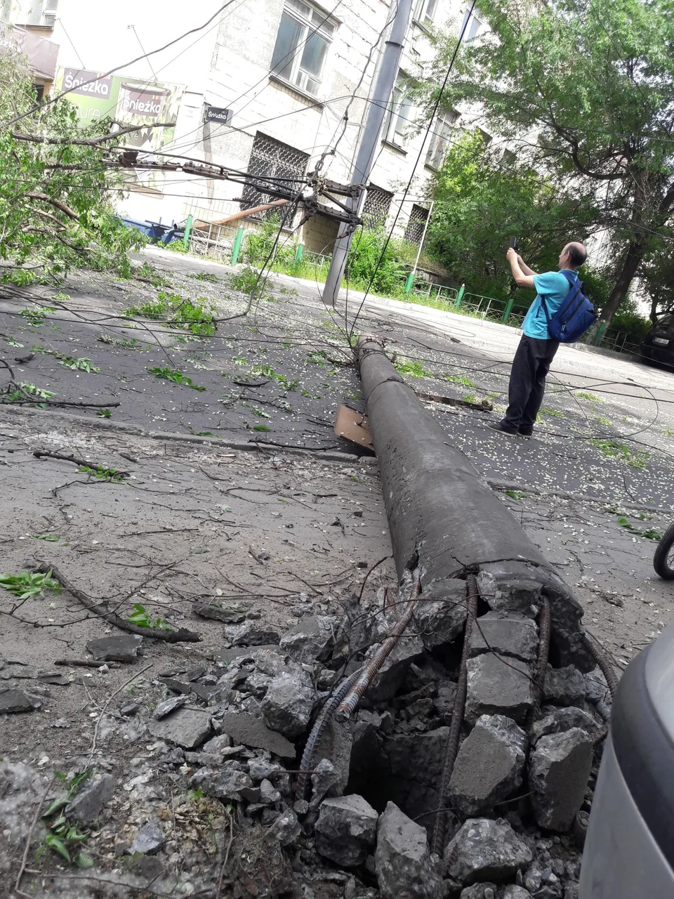 В Кишиневе упавшее дерево повредило автомобиль и опоры ЛЭП