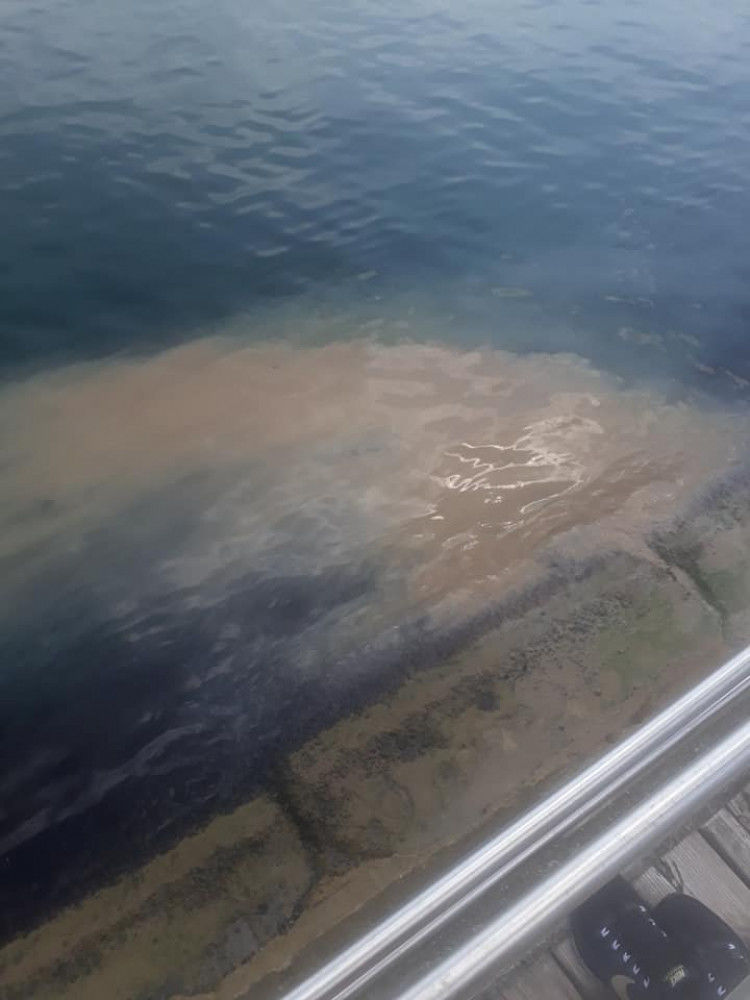 В курортном поселке под Одессой в море попали фекалии с очистительной станции