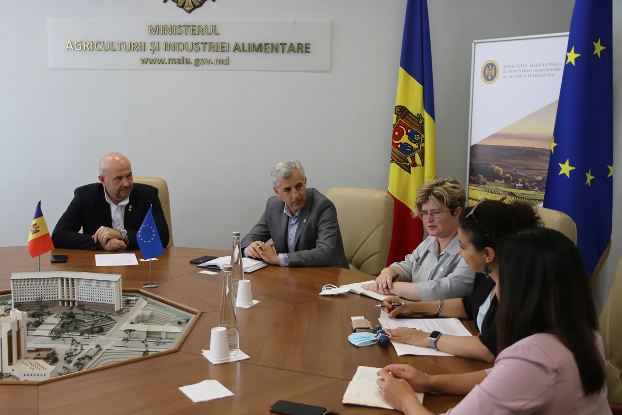 Боля - UNDP: Одна из целей министерства - добиться успеха в цифровизации отрасли