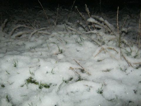 Partea de nord și centrală a Moldovei sub zăpadă