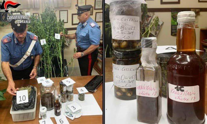 Итальянский повар добавлял в еду марихуану - его задержали
