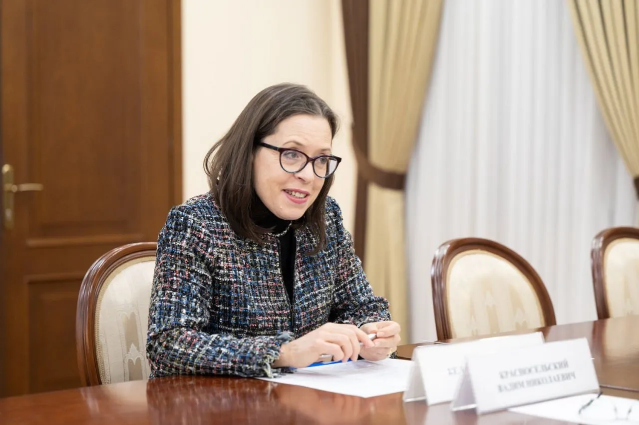 Şeful Misiunii OSCE a discutat cu Krasnoselski despre criza energetică