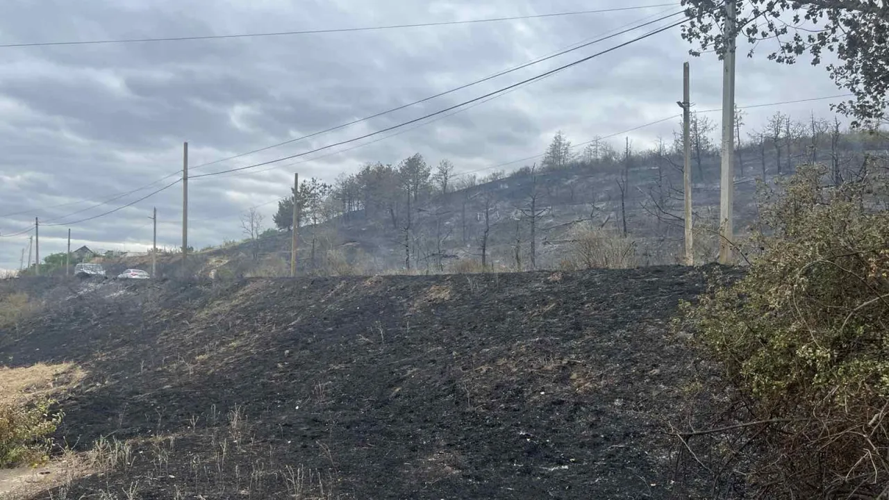 Пожар в Каушанском районе уничтожил 10 гектаров сухостоя и 3 гектара леса