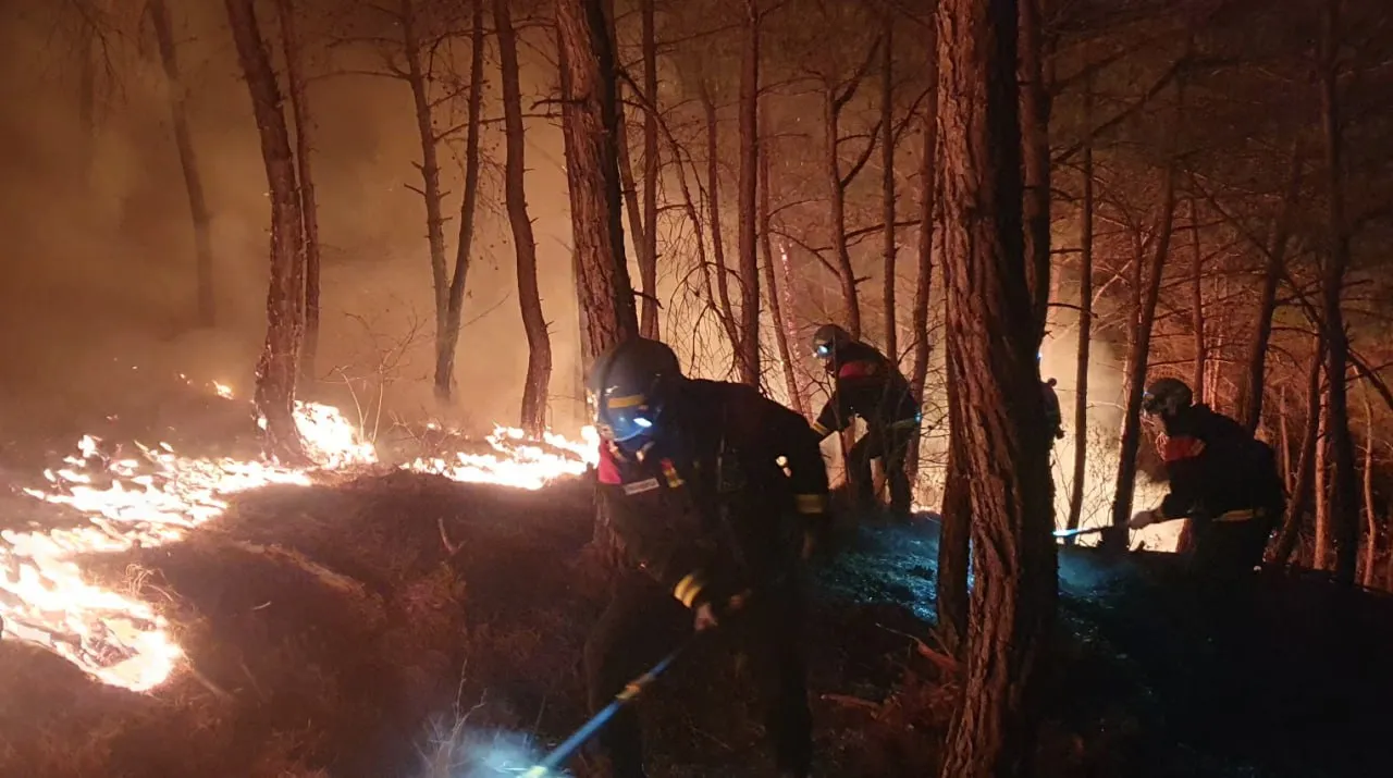 Peste 20 de incendii de vegetație mistuie Coreea de Sud: Există morți și persoane dispărute
