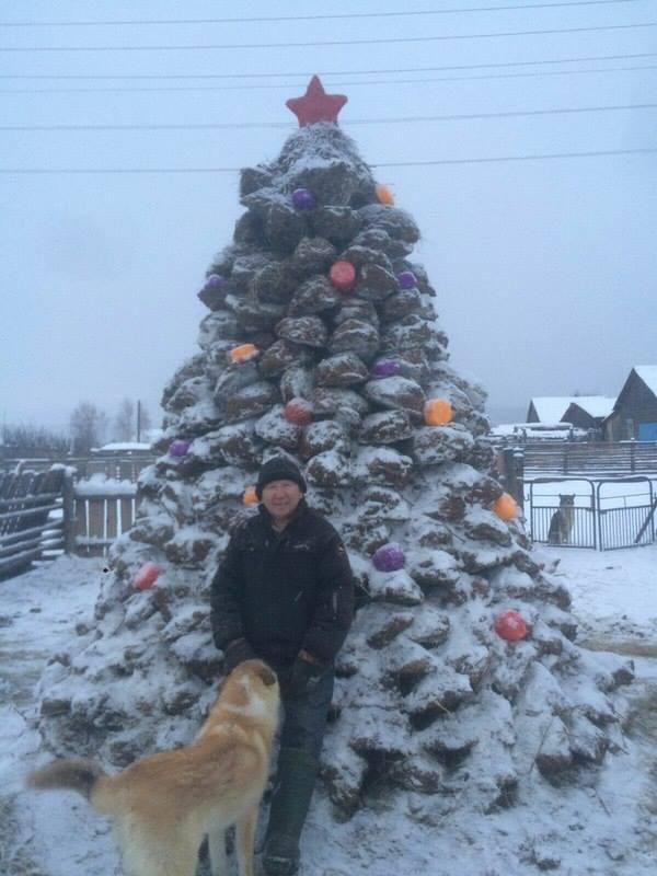 Пенсионер из Якутии слепил новогоднюю елку из навоза