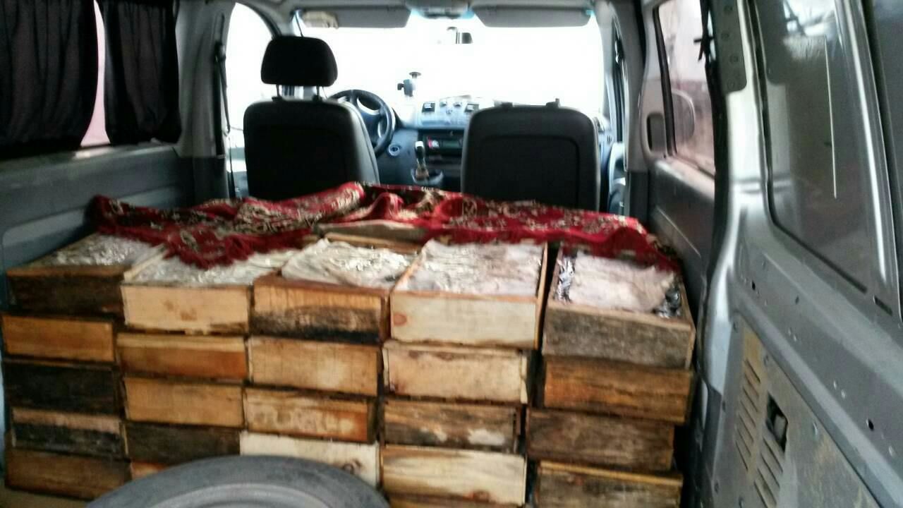 Полицией изъято более 500 кг рыбы из Приднестровья