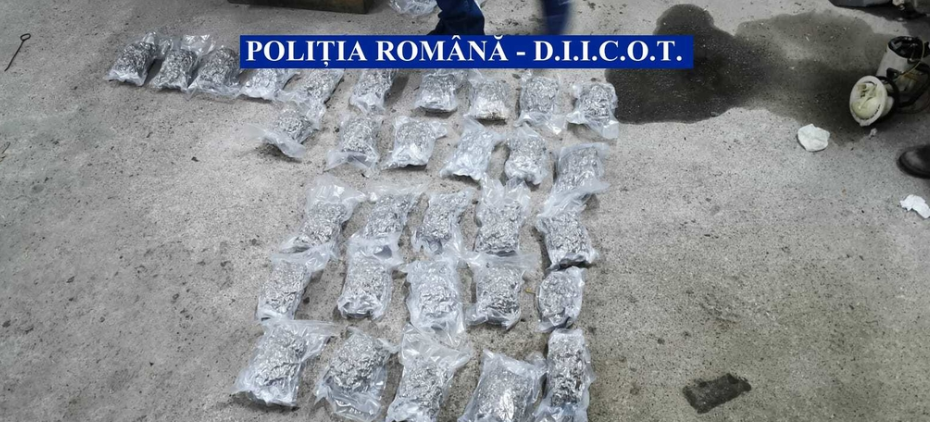 Гражданин Румынии пытался ввезти в Молдову 10 килограммов марихуаны
