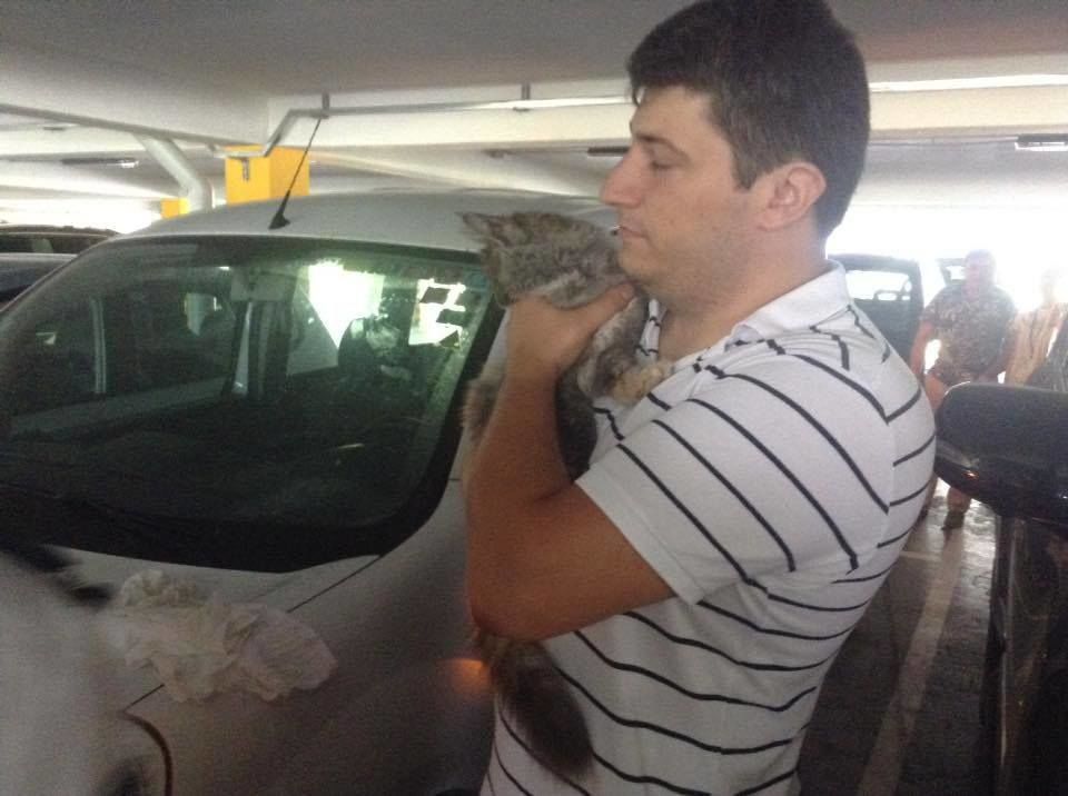O pisică, părăsită într-o mașină din parcarea Aeroportului Chișinău. A fost salvată după 3 zile