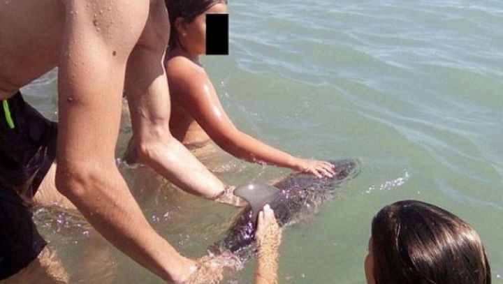 Un pui de delfin a murit pentru ca zeci de oameni să se pozeze cu el