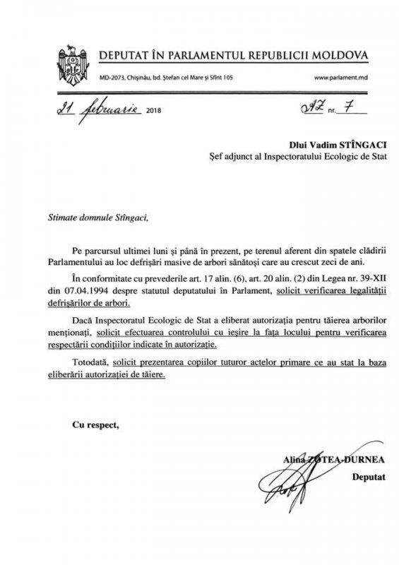 За зданием парламента спилили ели, чтобы построить парковку