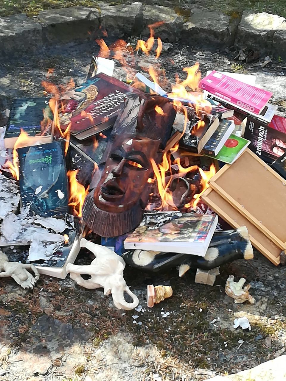 Книги о Гарри Поттере сожгли священники в Польше