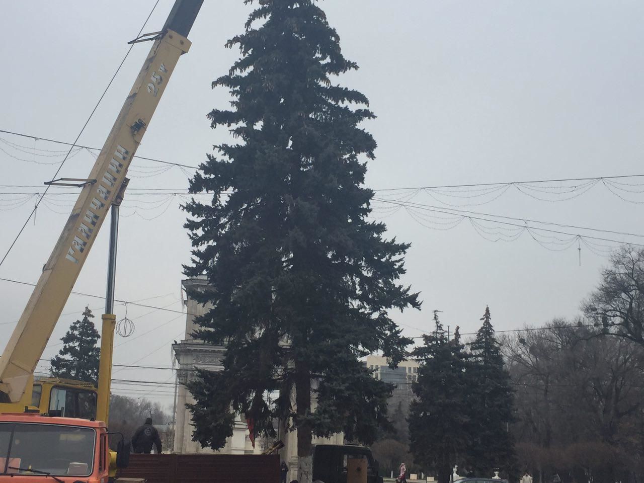 На центральной площади Кишинева установили новогоднюю елку