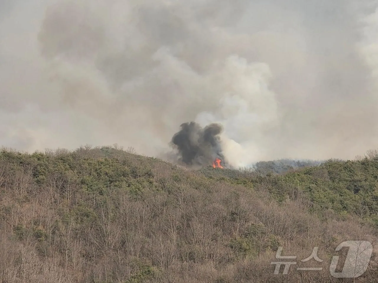 Peste 20 de incendii de vegetație mistuie Coreea de Sud: Există morți și persoane dispărute