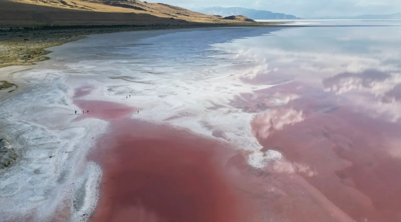 Oceanul de pe o plajă din California a devenit roz pentru câteva zile
