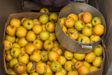 Ultimatum din partea lui Filip în privința calității alimentației în grădinițe