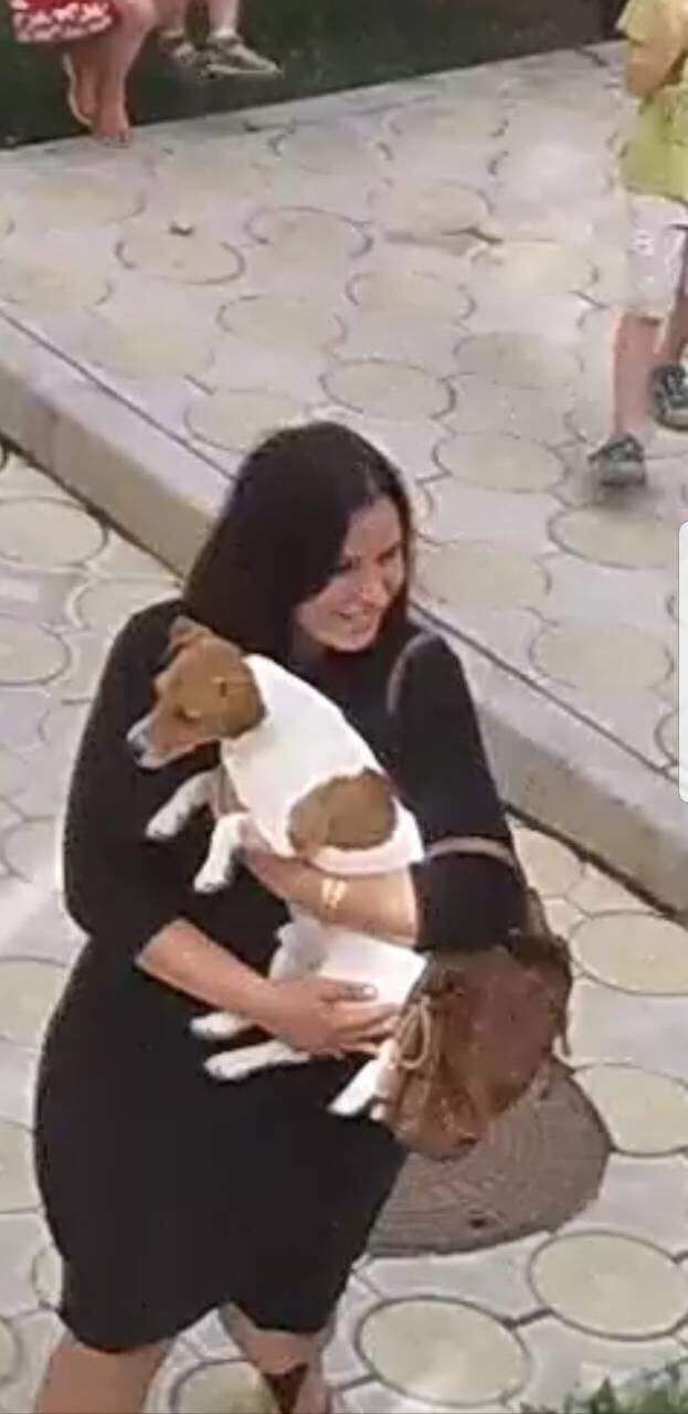 В столице женщина украла собаку во дворе, не постеснявшись камер наружного видеонаблюдения