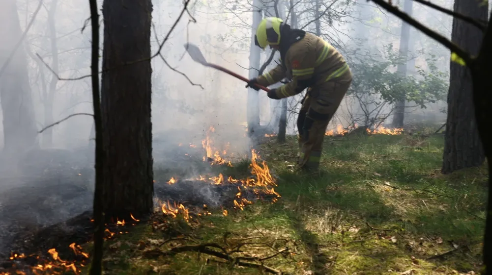 В Нидерландах за два дня возникли пожары на трех военных полигонах
