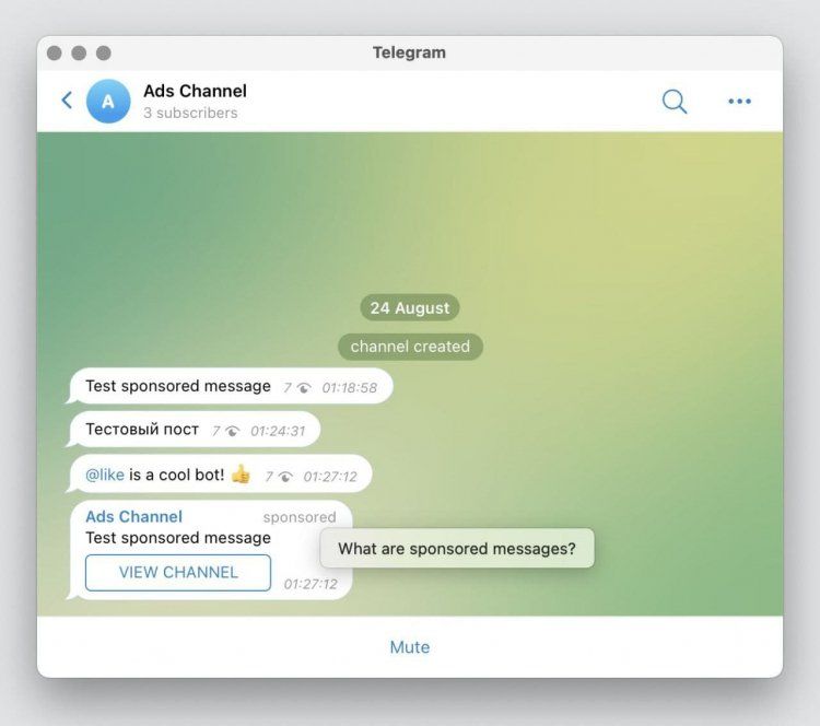 Вышла бета-версия Telegram 8.0 со множеством новых функций