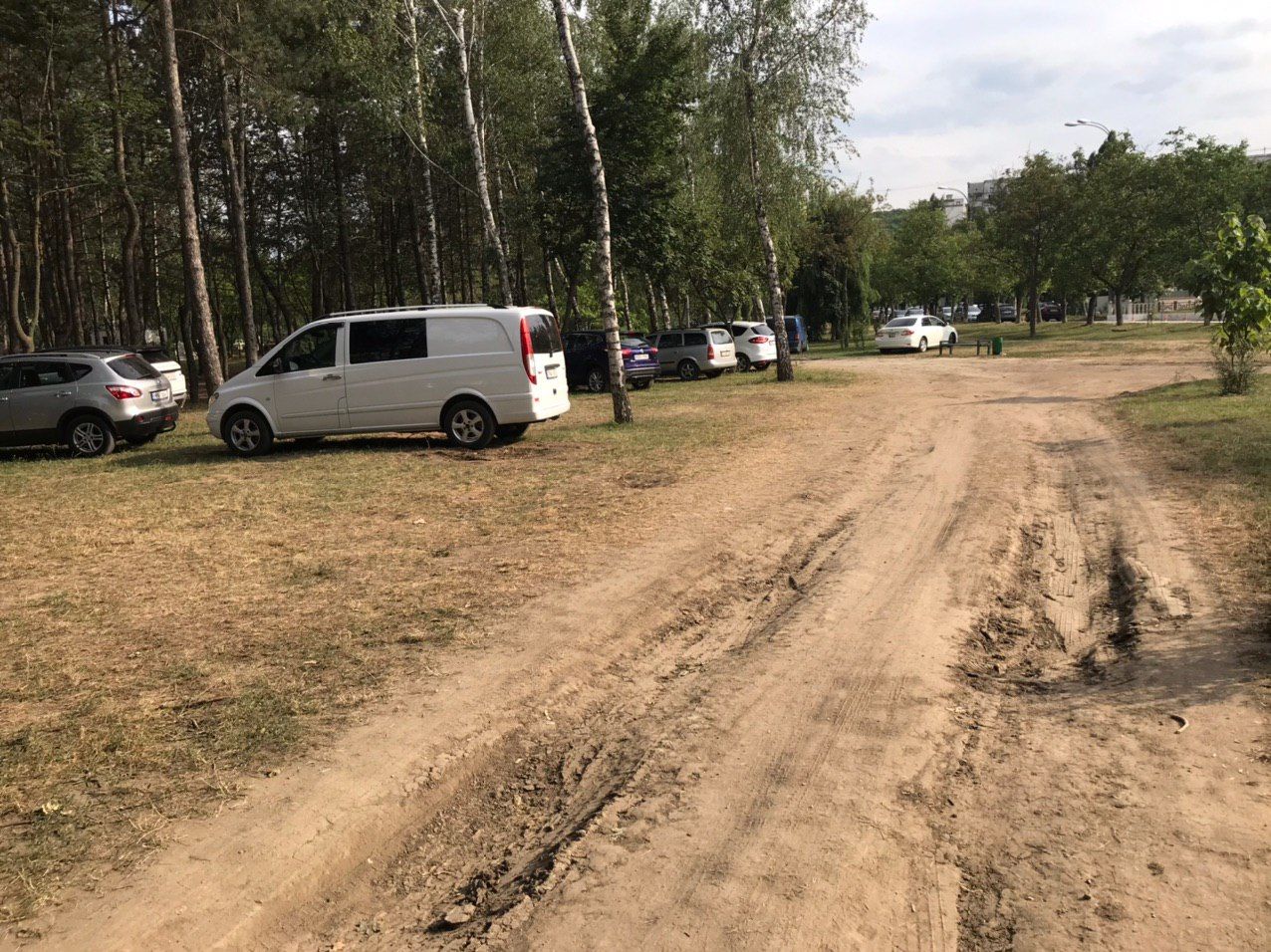 Автомобилисты стали парковаться прямо в парке на Скулянке