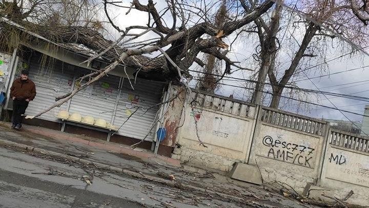 Разгул стихии: ветер валит деревья с корнем и срывает крыши и обшивку зданий