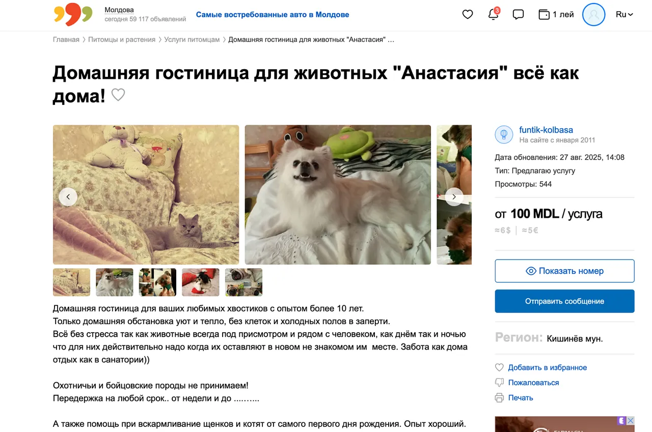 Tot mai mulți moldoveni aleg grooming și hoteluri pentru animale