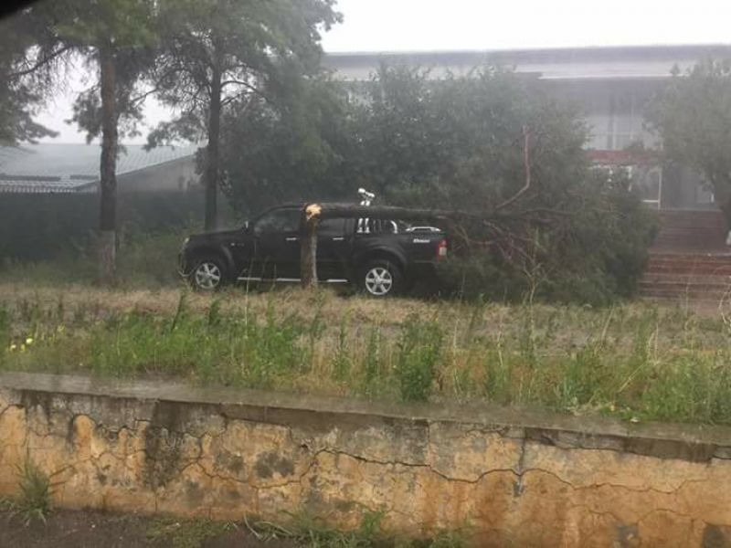 Проливной дождь и шквалистый ветер причинили немалый ущерб на севере страны