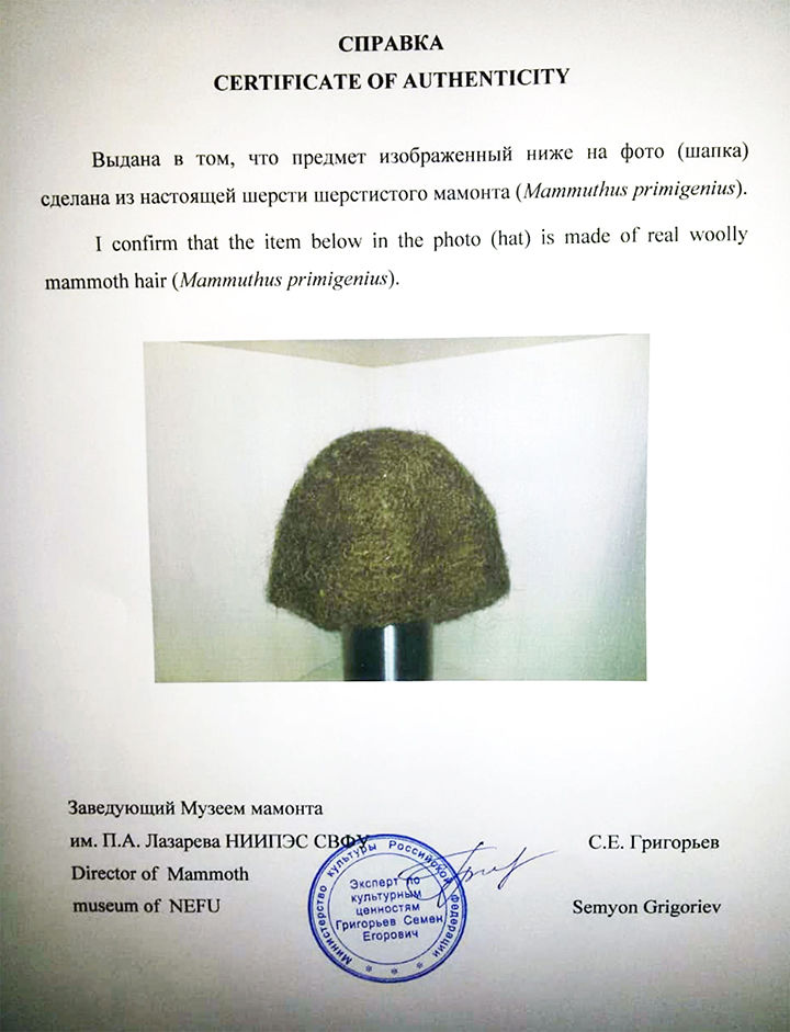 В России продают единственную в мире шапку из шерсти мамонта