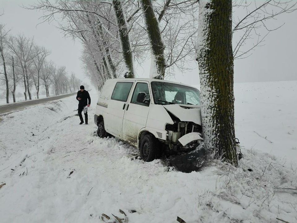 В Фалештском районе микроавтобус врезался в дерево