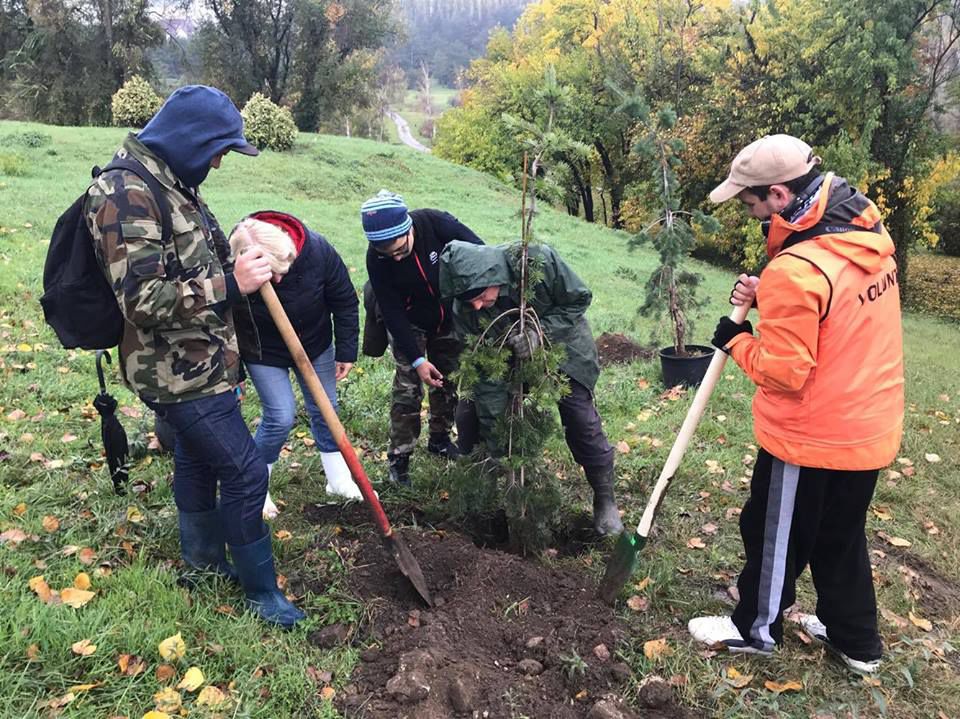 В Дендрарии Verde.md проводит посадку 50 деревьев