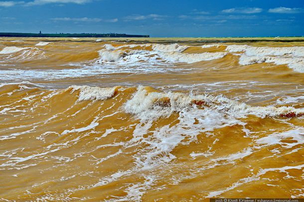 В Крыму Черное море стало желтым