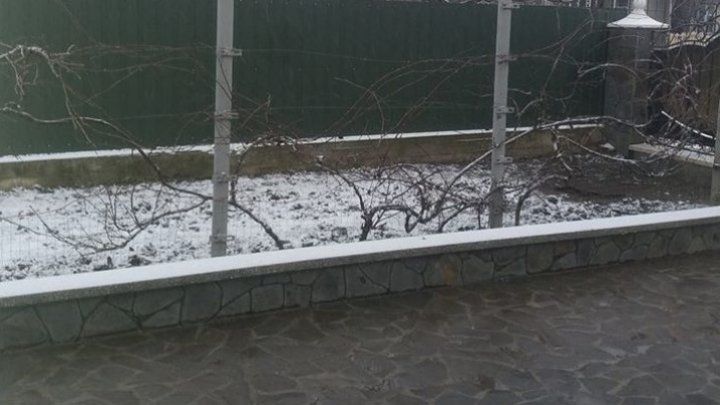 Перед Новым годом на севере и в центре страны выпал снег