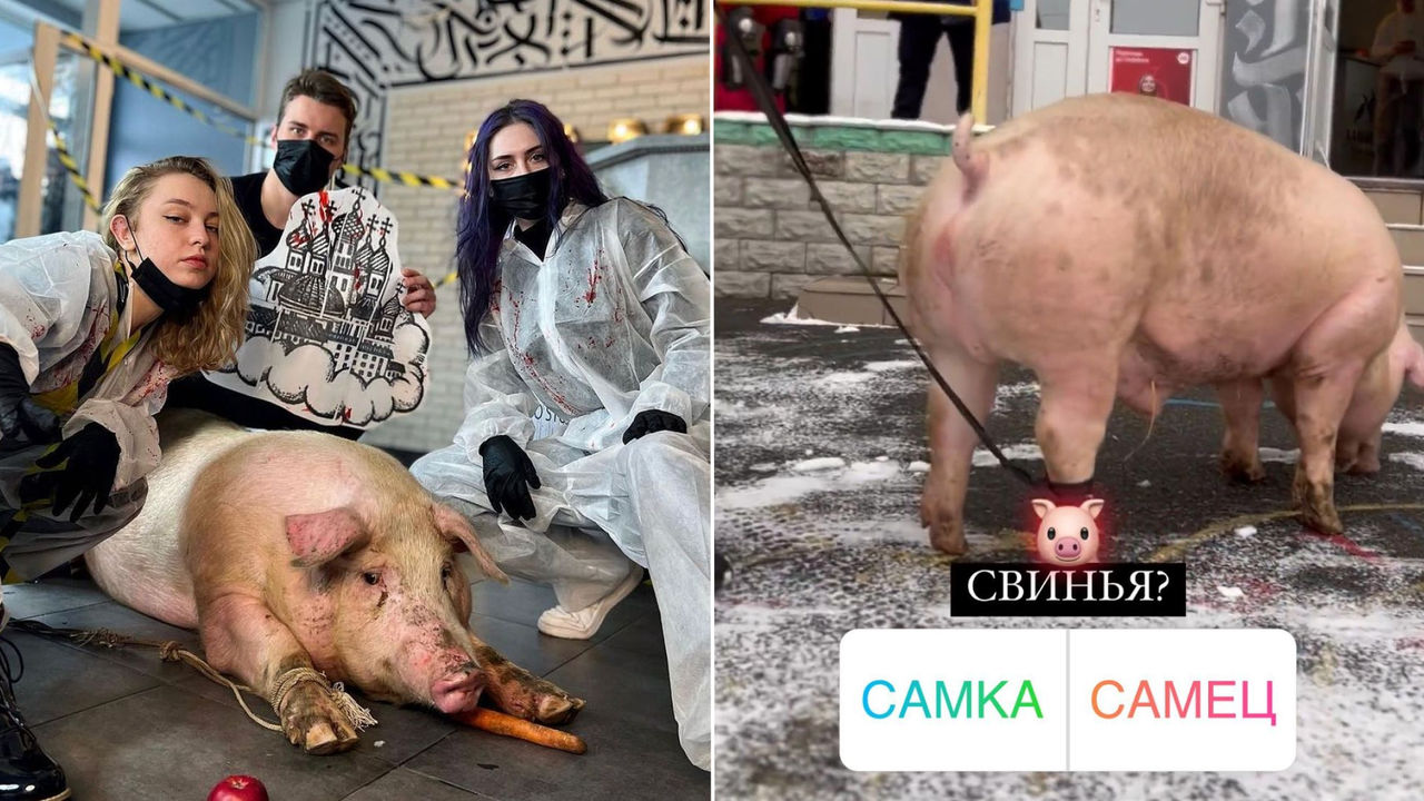 В Одессе разнесли тату-салон, где пытались наколоть свинье купола