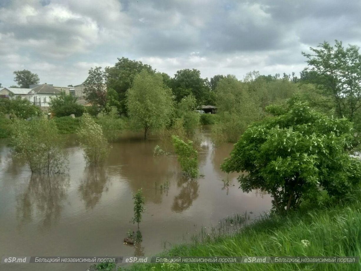 Уровень Реута в Бельцах сильно вырос: в реке едва не утонул ребёнок