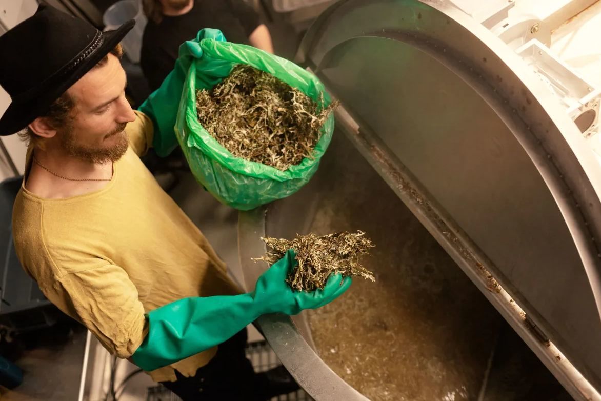 Пиво на гусином помете сварили в Финляндии