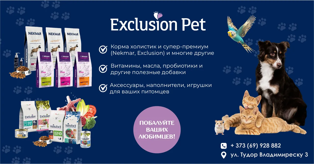 Открытие магазина Exclusion Pet в Кишиневе: товары для здоровья питомцев