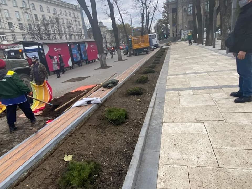 Чебан ответил тем, кто критикует модернизацию сквера “Михай Эминеску”