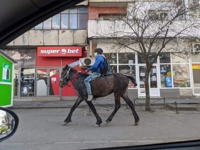 В Яссах, где не ходят автобусы, мужчина на коне прискакал в роддом к жене