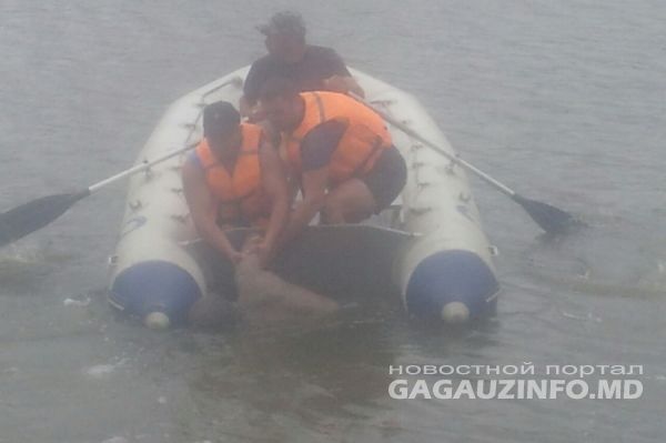 В Тараклии водолазы выловили из озера тело утонувшего мужчины