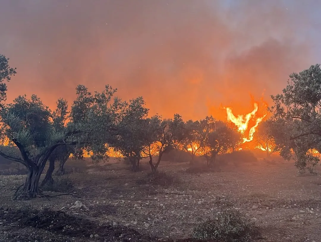 Incendiul de pădure din Izmir nu poate fi localizat deja de două zile