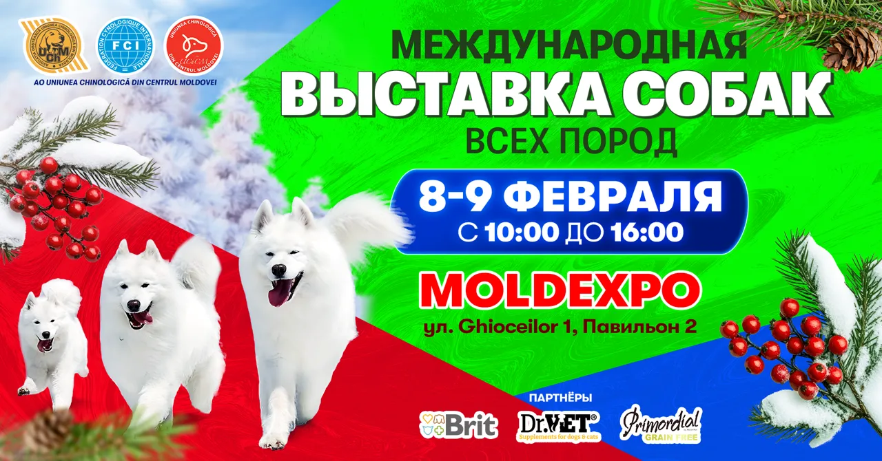 Moldexpo: Приглашаем всех любителей собак на Dog Show 2025 года