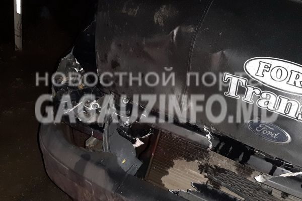 В Томае произошло ДТП: машина сбила осла