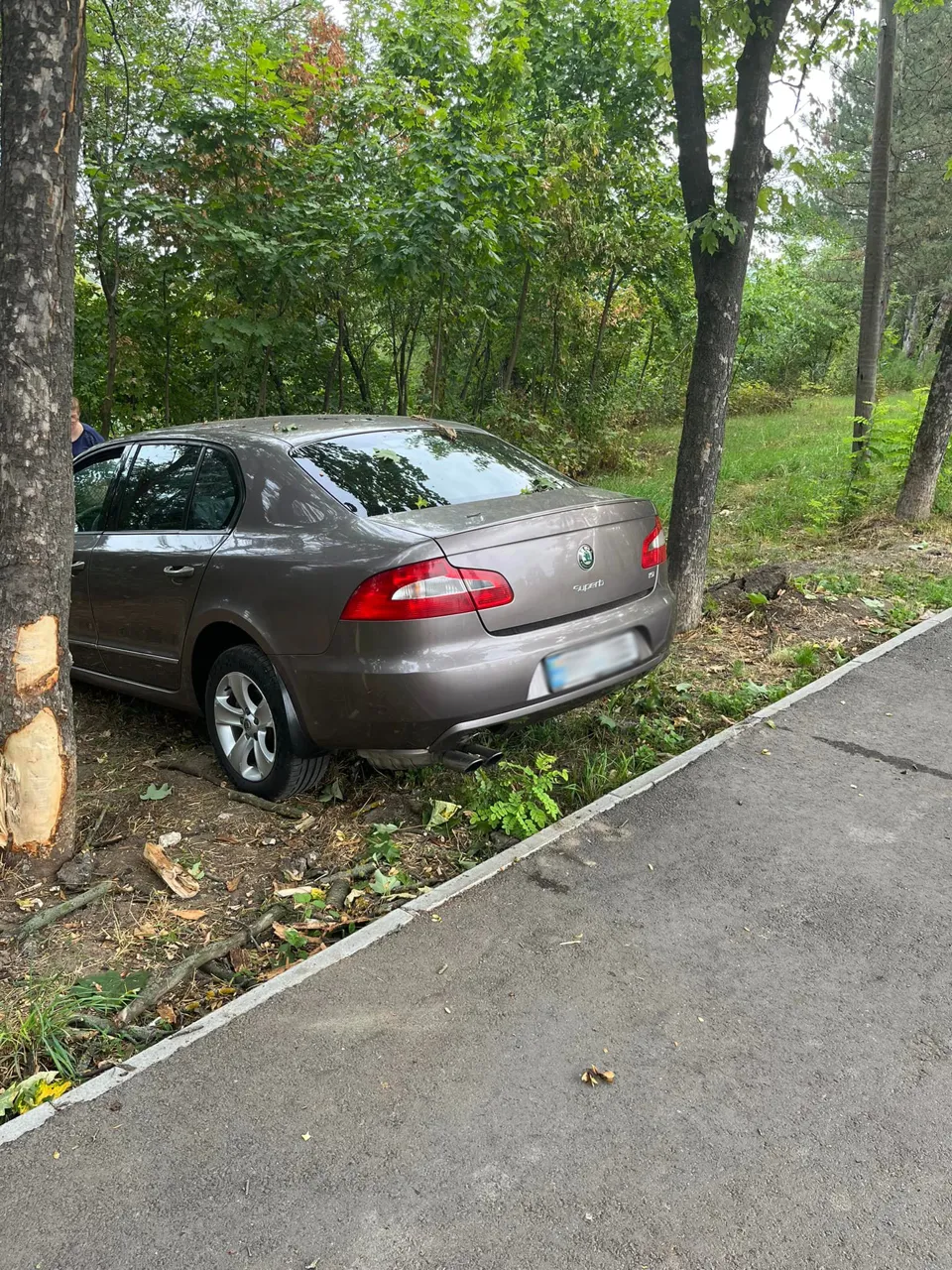 Поврежденную Skoda Superb нашли прохожие посреди столичного парка