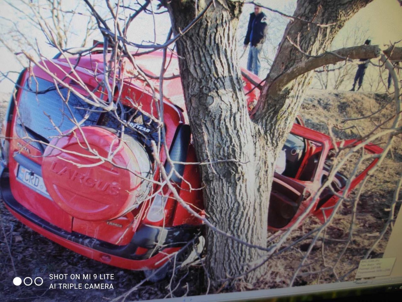 В Фалештском районе автомобиль с тремя пьяными мужчинами врезался в дерево