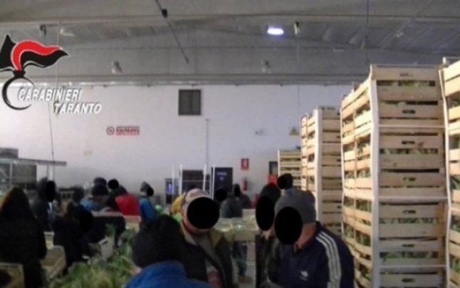 Viaţa groaznică a românilor eliberaţi din sclavie în Italia: 17 ore de muncă zilnic, bătaie pe săturate şi 100 euro lunar