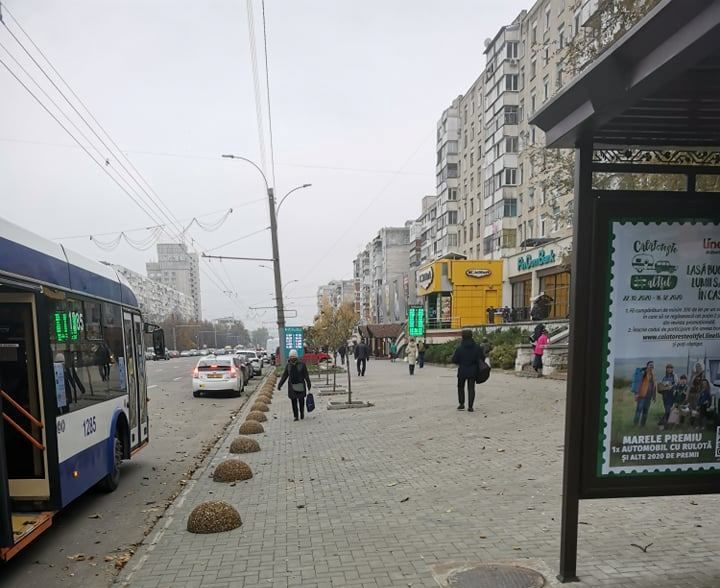 Без незаконных парковок: тротуар на Московском проспекте освободили от машин