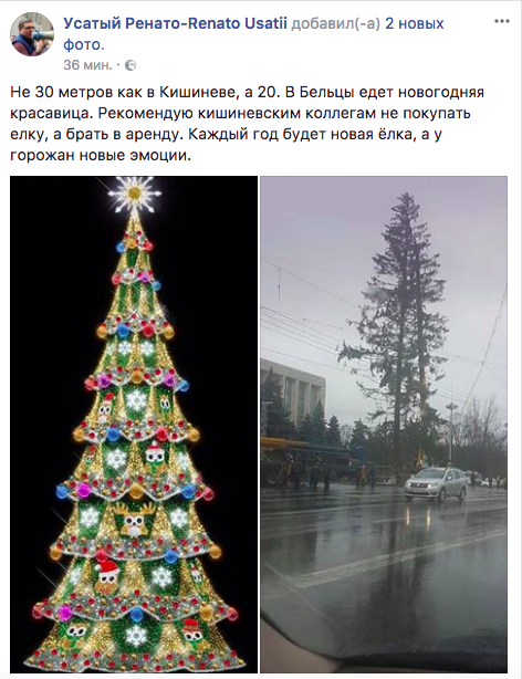 Усатый посоветовал брать искусственную елку в аренду и показал, какую везут в Бельцы